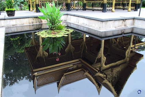 Temple Reflected, 2013