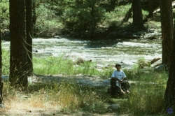 Yosemite, 1998