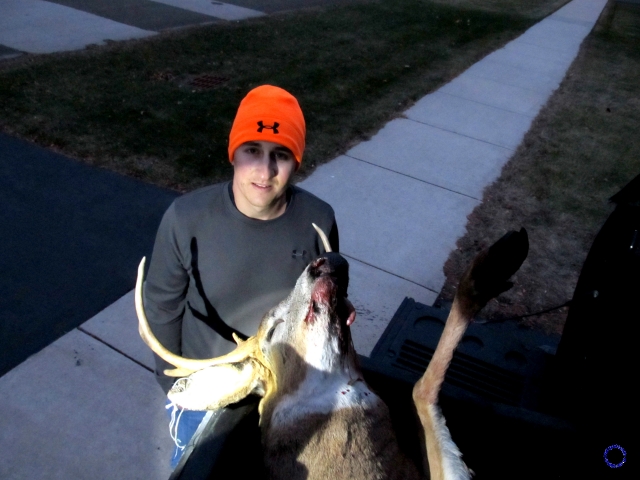 Nate & Buck, Frame 2466, 2011