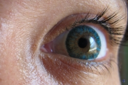 Eye, 2012