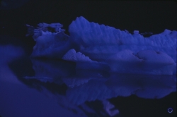Ice, 1986