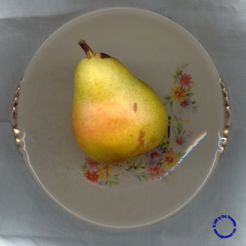 G25-3 Pear on Plate, 2003