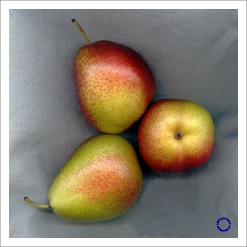G25-5 Three Pears, 2004