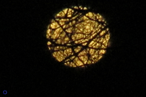 Moon, 2014