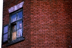 Brick Wall, 1973